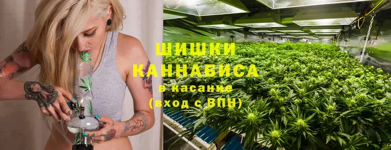 Бошки марихуана LSD WEED  МЕГА как зайти  Ак-Довурак 